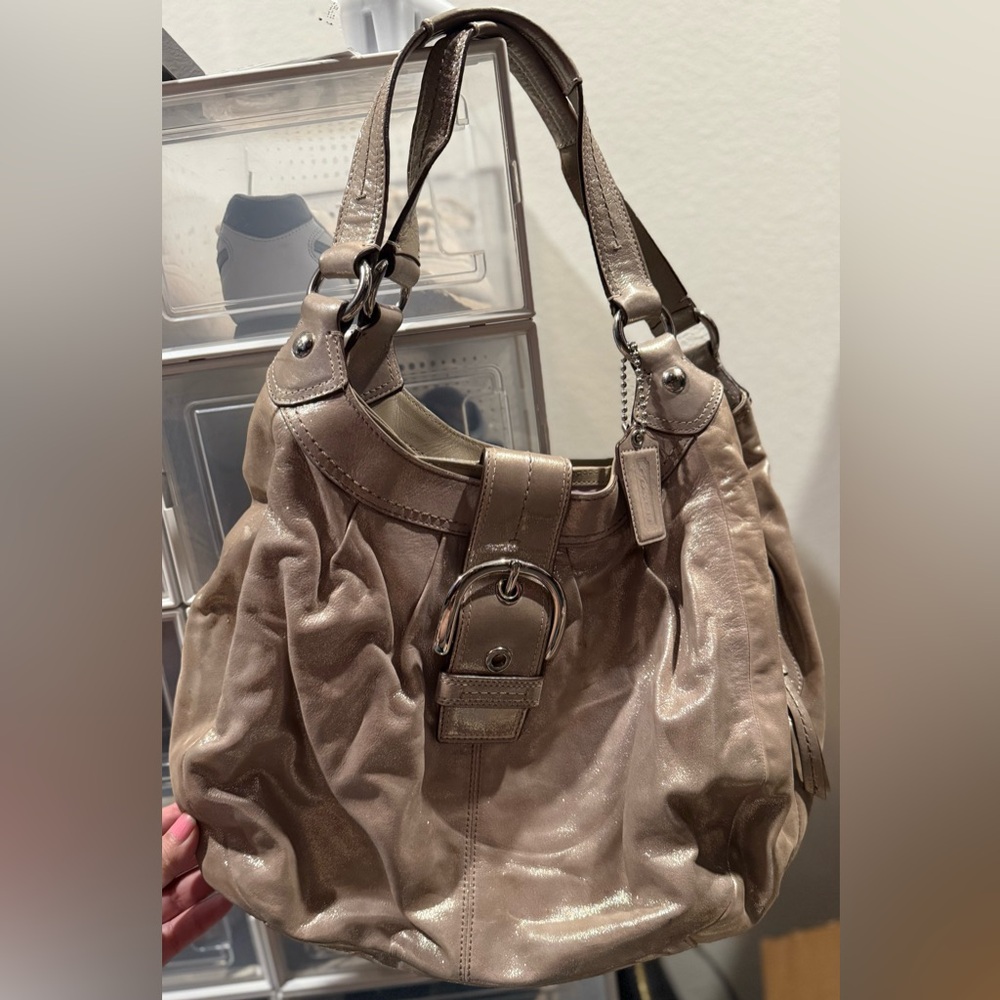 Coach Lynne Shimmering Beige Shoulder Bag & Matching Wallet